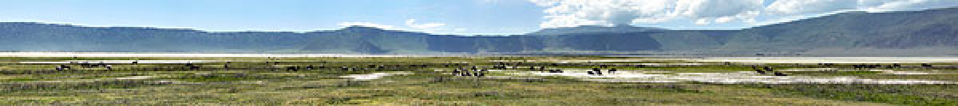 全景,恩戈罗恩戈罗火山口,恩格罗恩格罗,保护区,坦桑尼亚,非洲