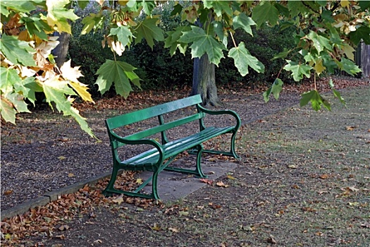 公园长椅,早,秋天
