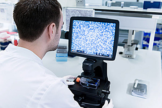 癌症研究,实验室,男性,科学家,学习,细胞,显微镜,用电脑,显示屏