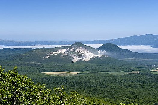 茂密,山