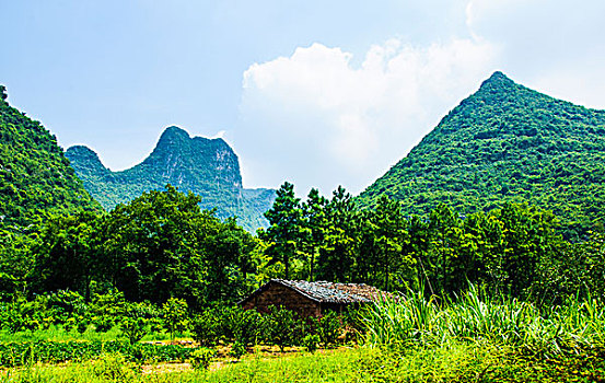 桂林田园风光