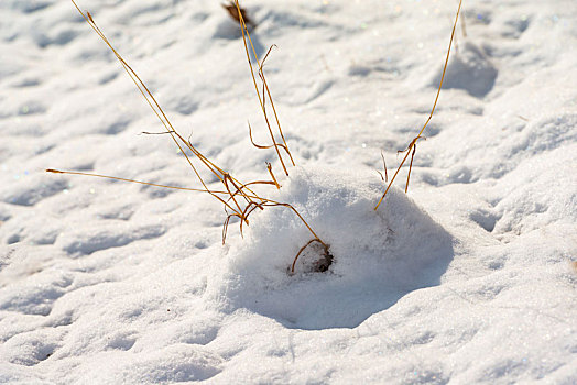 北方冬日美丽的雪后风光