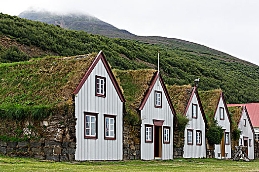 历史,农场,冰岛,欧洲