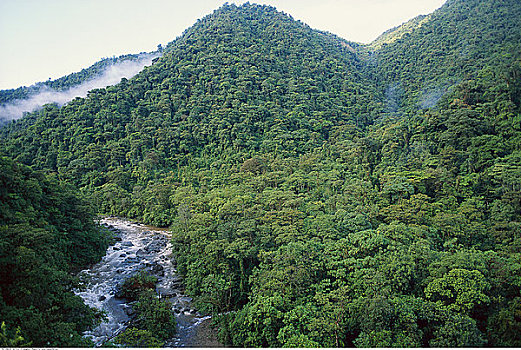 国家野生动植物保护区,哥斯达黎加