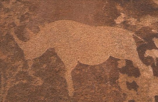 犀牛,石刻,岩刻,达马拉兰,纳米比亚,非洲