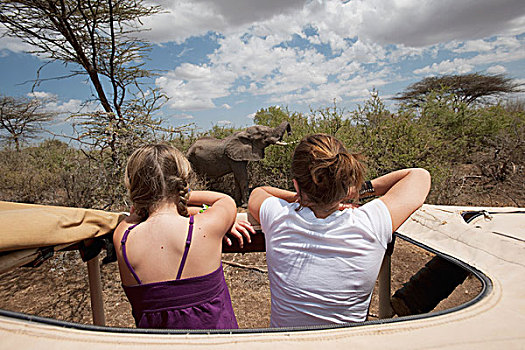 游客,暸望,萨布鲁国家公园,肯尼亚,非洲