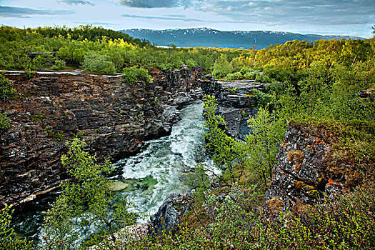 峡谷,河,国家公园,拉普兰,北方,瑞典,斯堪的纳维亚,欧洲
