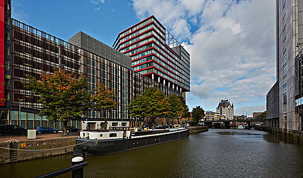 鹿特丹,岛屿,建筑,现代,住宅区,水岸