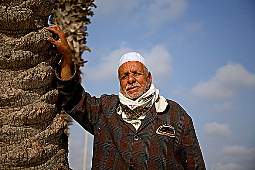 利比亚,男人,姿势,靠近,棕榈树