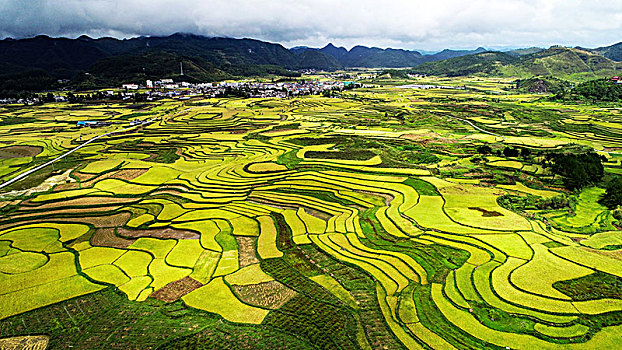 贵州龙里湾滩河镇金批村丰收田园