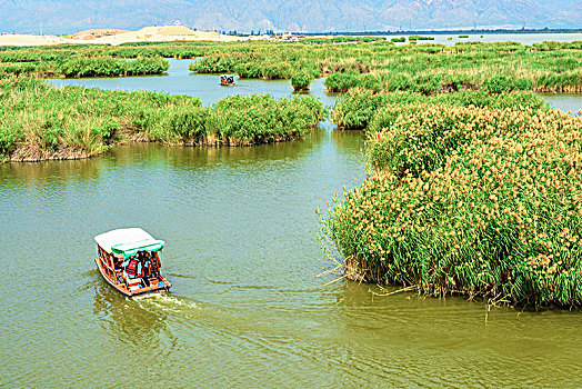 宁夏回族自治区,沙湖景观