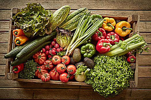 静物,新鲜,有机,健康,蔬菜丰收,品种,木头,板条箱