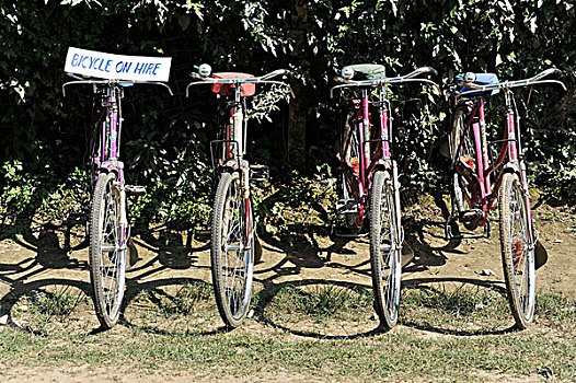 自行车出租,奇旺国家公园,尼泊尔,亚洲