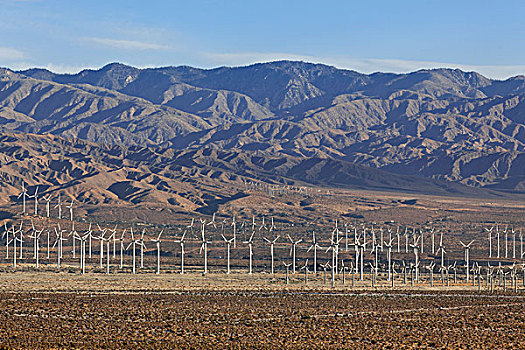 风电场,靠近,棕榈泉,美国