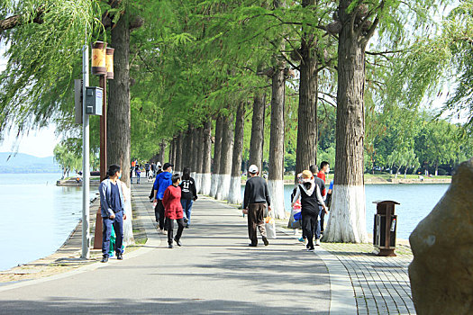 武汉东湖景区周末市民游玩组图