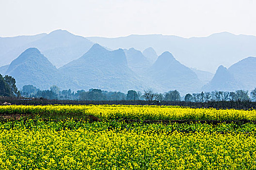 田园风光