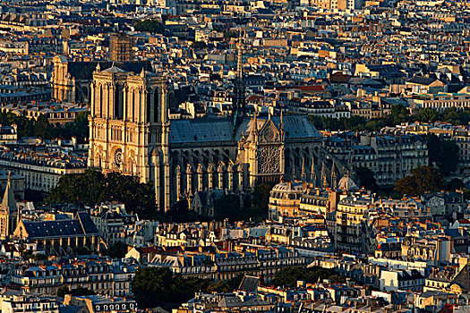 巴黎,城市,巴黎圣母院,大教堂,法国