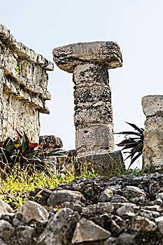 古老,玛雅,圆,柱子,石头,上面,墨西哥