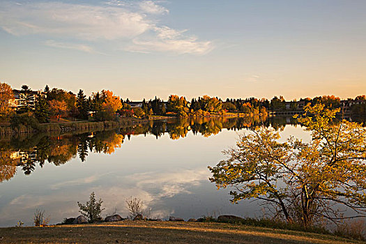 秋天,场景,湖,埃德蒙顿,艾伯塔省,加拿大