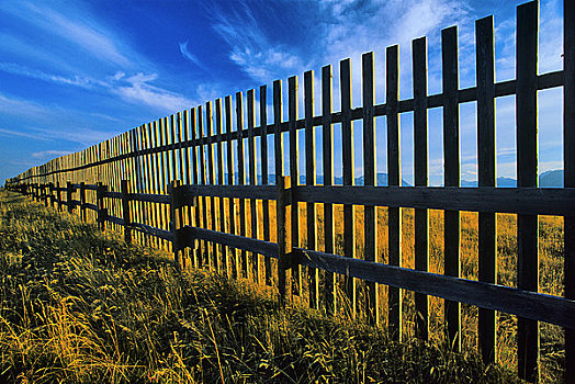 围栏,地点,艾伯塔省,加拿大