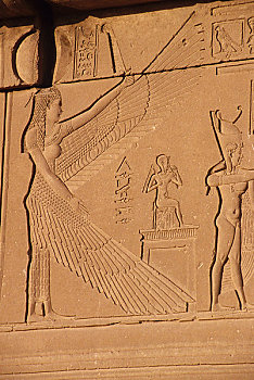 埃及,丹达拉,哈索尔神庙,哈索尔,翼,霍鲁斯