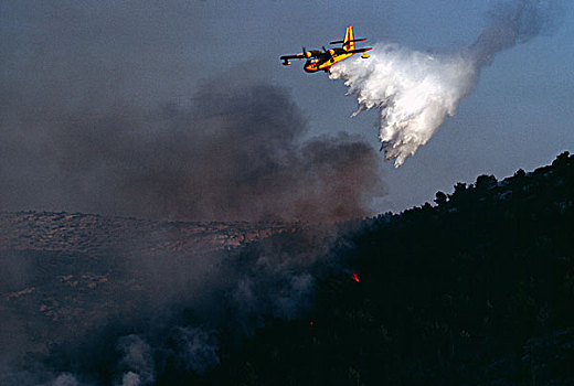 法国,普罗旺斯,水,轰炸机,落下,森林火灾