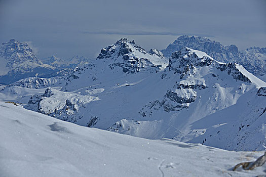 自然,冬季风景,树,初雪