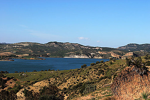 湖,靠近,安达卢西亚,西班牙