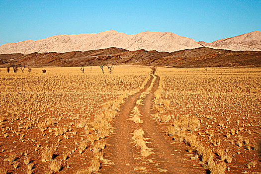 道路,沙,荒芜,石头,纳米比沙漠,纳米比亚,非洲