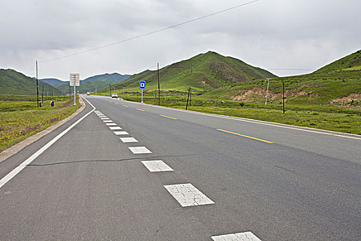 甘肃,尕海,草原,公路,辽阔,湖泊,草地,小花,旅游,景点,风光