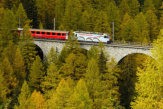 铁路,高架桥,瑞士,欧洲
