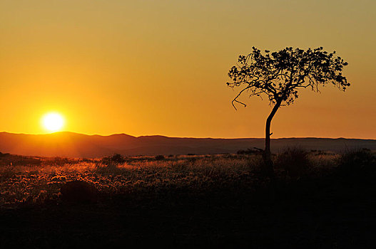 日落,高处,塞斯瑞姆,峡谷,纳米比亚,非洲