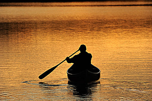 划船,独木舟,湖,晚间,亮光,阿尔冈金省立公园,安大略省,加拿大