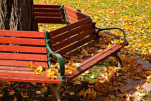 公园长椅,佛蒙特州,美国