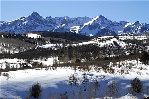 积雪,风景,山脉,背景,犹他,美国