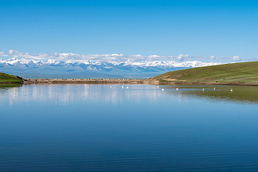 新疆和静县巴音布鲁克小天鹅湖风光
