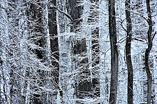 冰天雪地