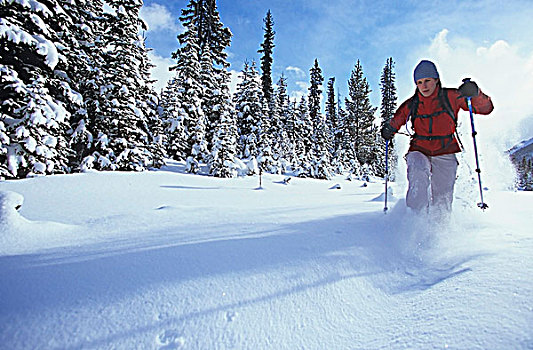 女人,雪鞋,艾伯塔省,加拿大