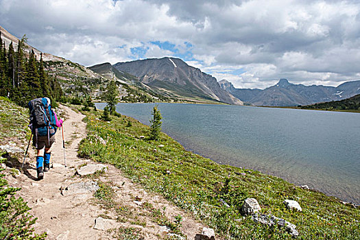 女人,远足,小路,落基山脉,靠近,路易斯湖,艾伯塔省,加拿大