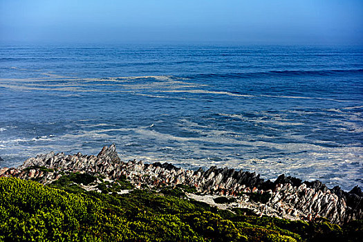 自然保护区,沿岸,靠近,南非,西海角