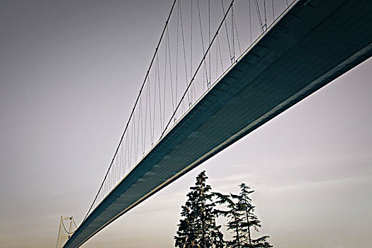 博斯普鲁斯海峡,桥
