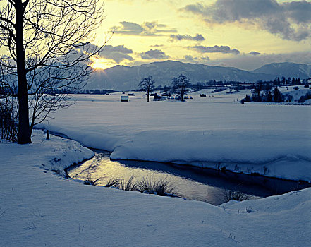 冬天,风景,靠近,荒野,上巴伐利亚,巴伐利亚,德国,欧洲
