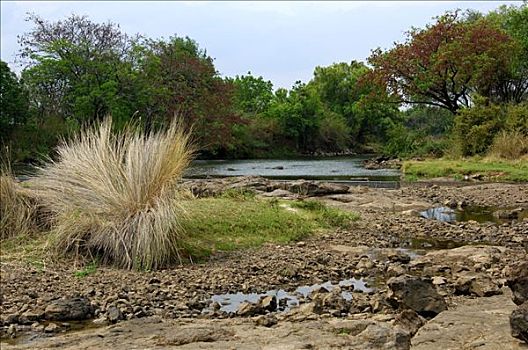 河床,赞比西河,靠近,维多利亚瀑布,干燥,季节,赞比亚