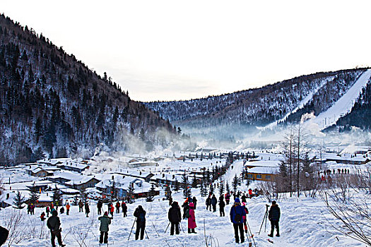 雪乡,双峰林场,村庄,风景,白天,黑龙江,牡丹江