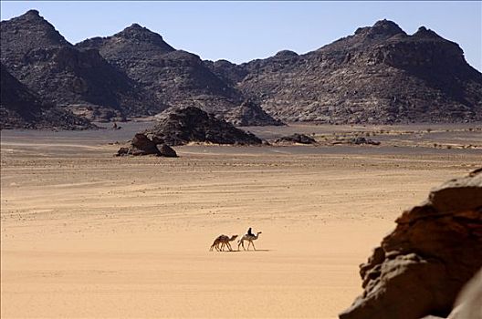 旱谷,利比亚