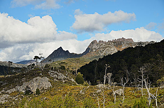 摇篮山,国家公园,世界遗产,区域,塔斯马尼亚,澳大利亚
