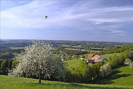 乡村地区,空中,气球,施蒂里亚,奥地利
