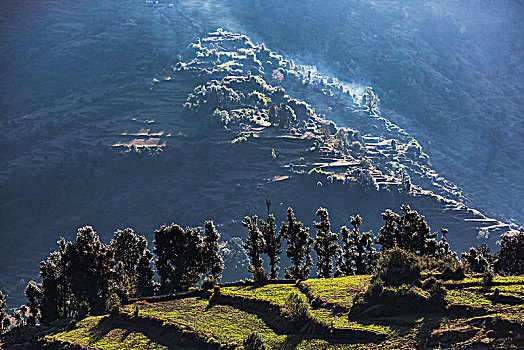 风景,晴朗,山麓,北阿坎德邦,喜玛拉雅