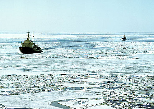 波罗的海,船,冰,水