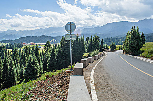 森林道路